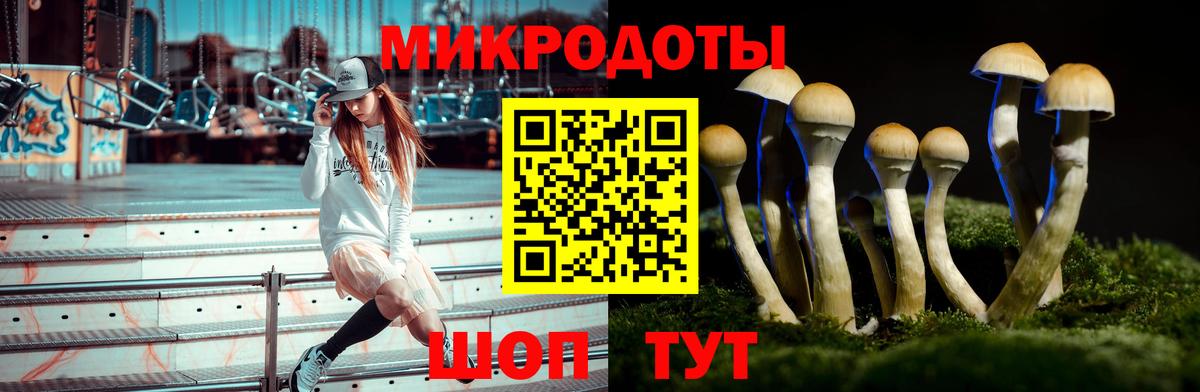 Галлюциногенные грибы Cubensis  Галлюциногенные грибы мухоморы  купить наркотики сайты  Сызрань  Вход с VPN 
